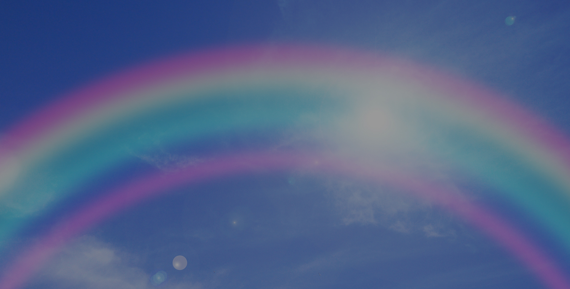 ペイントライフ